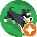 Qeti Geliashvili profile picture